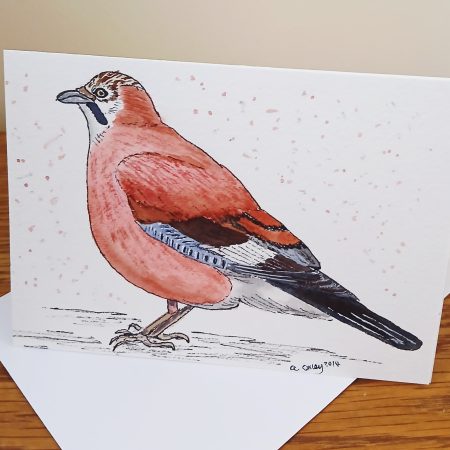 Hand Painted Jay Greetings Card with White Envelope 147mm x 105 mm Card blank inside