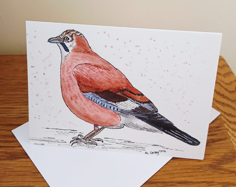 Hand Painted Jay Greetings Card with White Envelope 147mm x 105 mm Card blank inside
