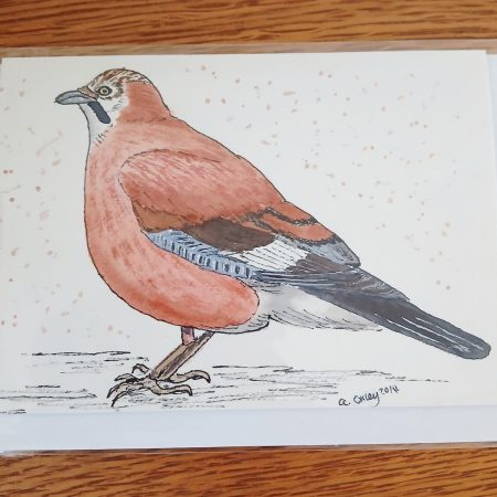 Hand Painted Jay Greetings Card with White Envelope 147mm x 105 mm Card blank inside