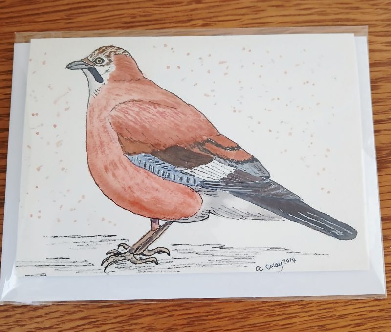 Hand Painted Jay Greetings Card with White Envelope 147mm x 105 mm Card blank inside