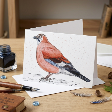 Hand Painted Jay Greetings Card with White Envelope 147mm x 105 mm Card blank inside