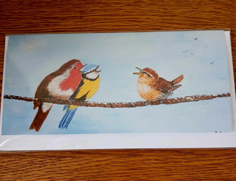 Birds on a Rope Card with Robin, Blue Tit and Wren, 21cm x 10cm
