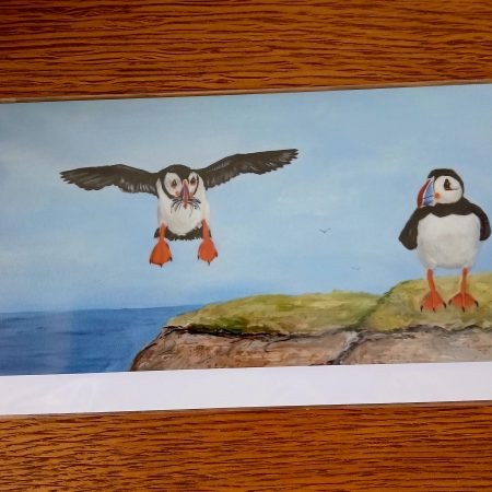 Greetings Card Featuring Puffins on a Cliff, Blank Inside 21cm x 10cm