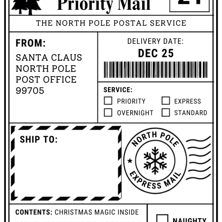 Pack off 10 Christmas shipping style labels