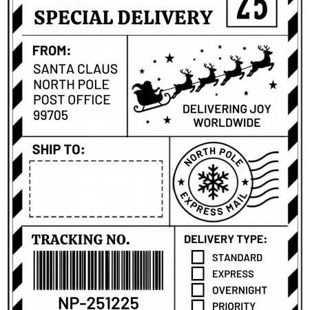 Pack off 10 Christmas shipping style labels