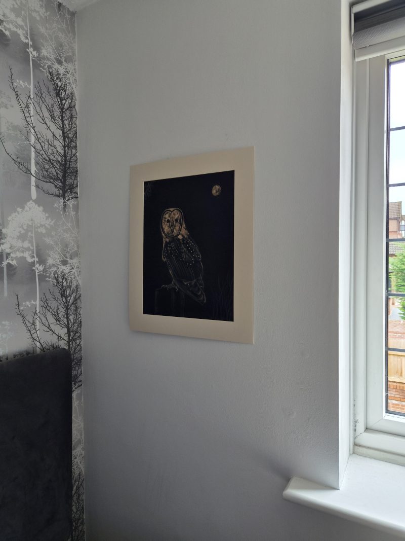 Original Hand-painted Bleach Portrait - Barn Owl