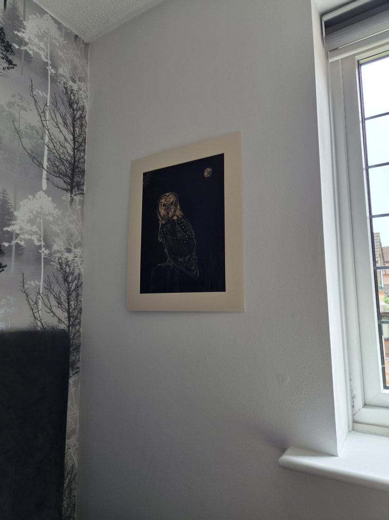 Original Hand-painted Bleach Portrait - Barn Owl