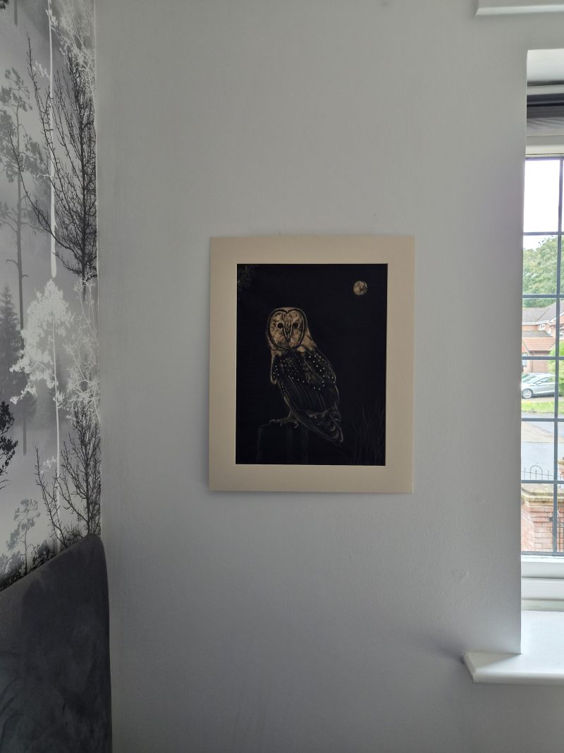 Original Hand-painted Bleach Portrait - Barn Owl