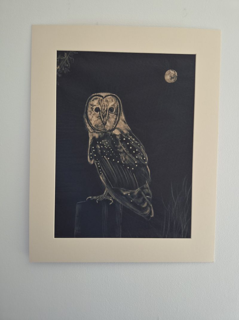 Original Hand-painted Bleach Portrait - Barn Owl