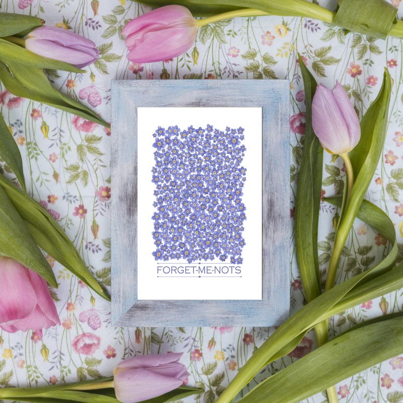 Forget-Me-Not Flower Print | Blue Botanical Wall Art (Physical Print)