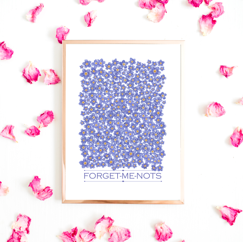 Forget-Me-Not Flower Print | Blue Botanical Wall Art (Physical Print)