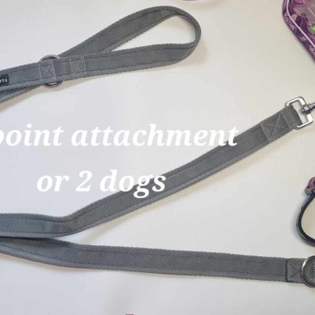 Double ended dog training lead