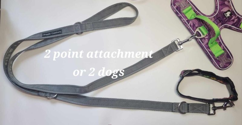 Double ended dog training lead