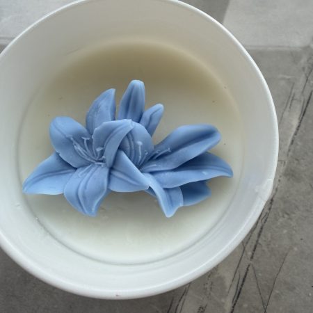 HandcraftedHandcrafted Wickless Coconut Wax Candle | Flameless Home Fragrance |