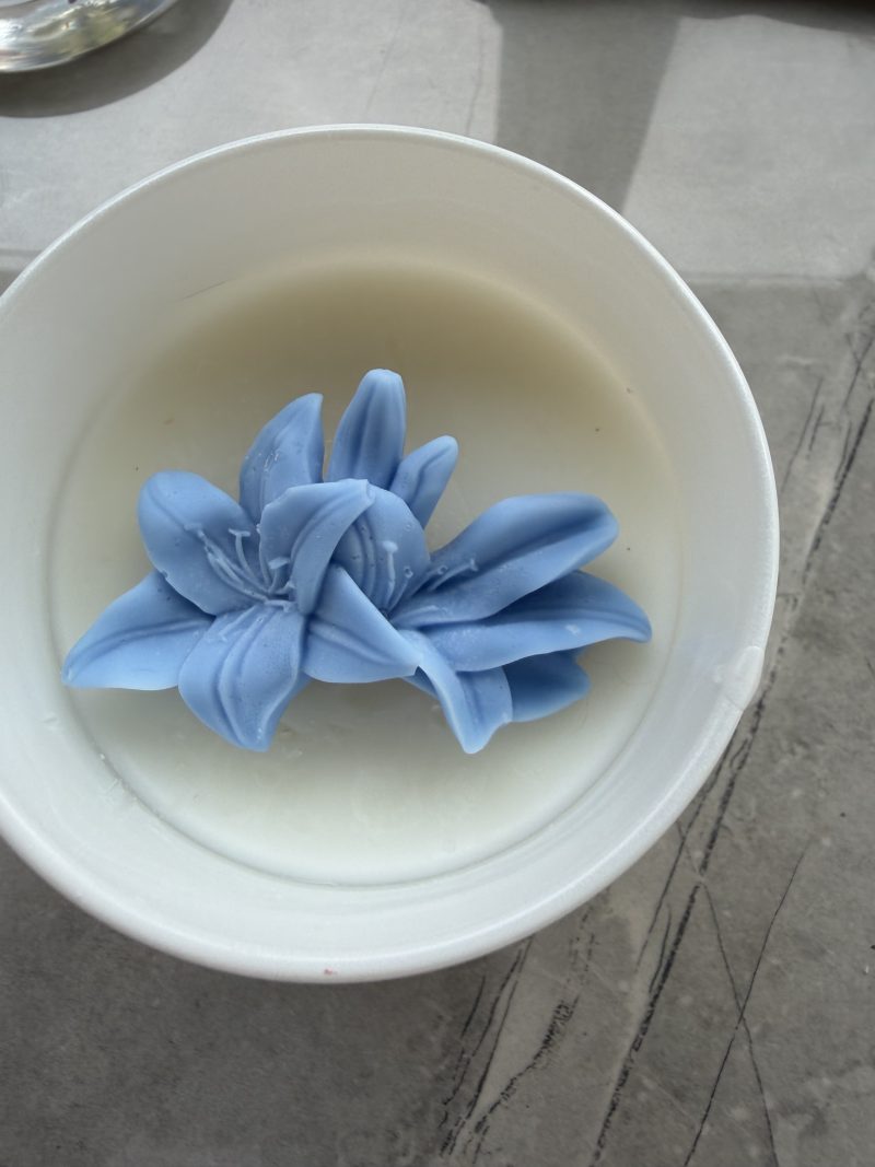 HandcraftedHandcrafted Wickless Coconut Wax Candle | Flameless Home Fragrance |
