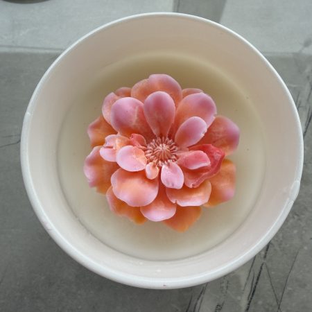 HandcraftedHandcrafted Wickless Coconut Wax Candle | Flameless Home Fragrance |