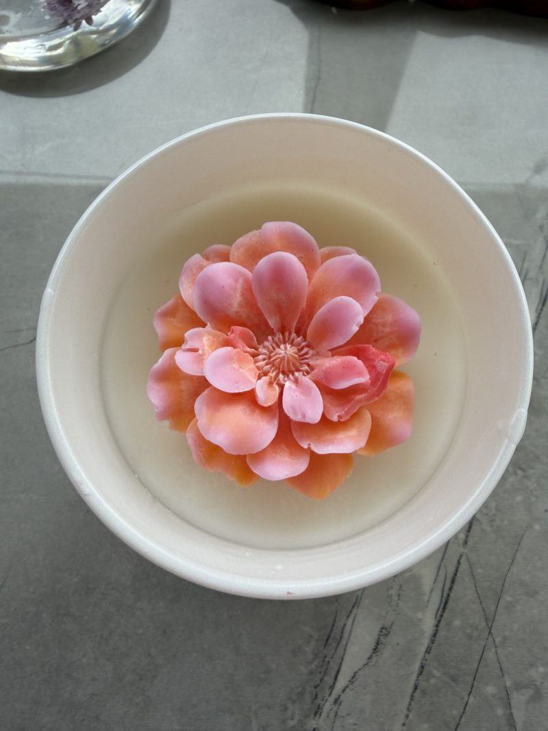 HandcraftedHandcrafted Wickless Coconut Wax Candle | Flameless Home Fragrance |