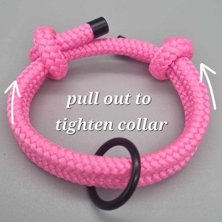 Sighthound/Dog ID tag collar/House collar adjustable