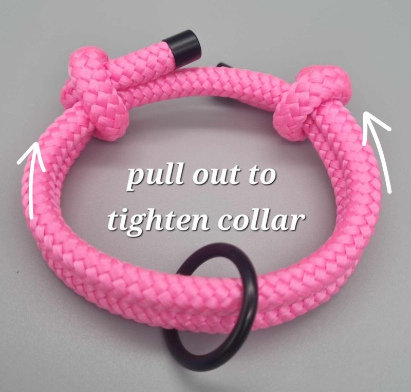 Sighthound/Dog ID tag collar/House collar adjustable