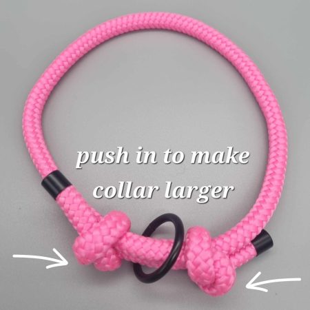 Sighthound/Dog ID tag collar/House collar adjustable