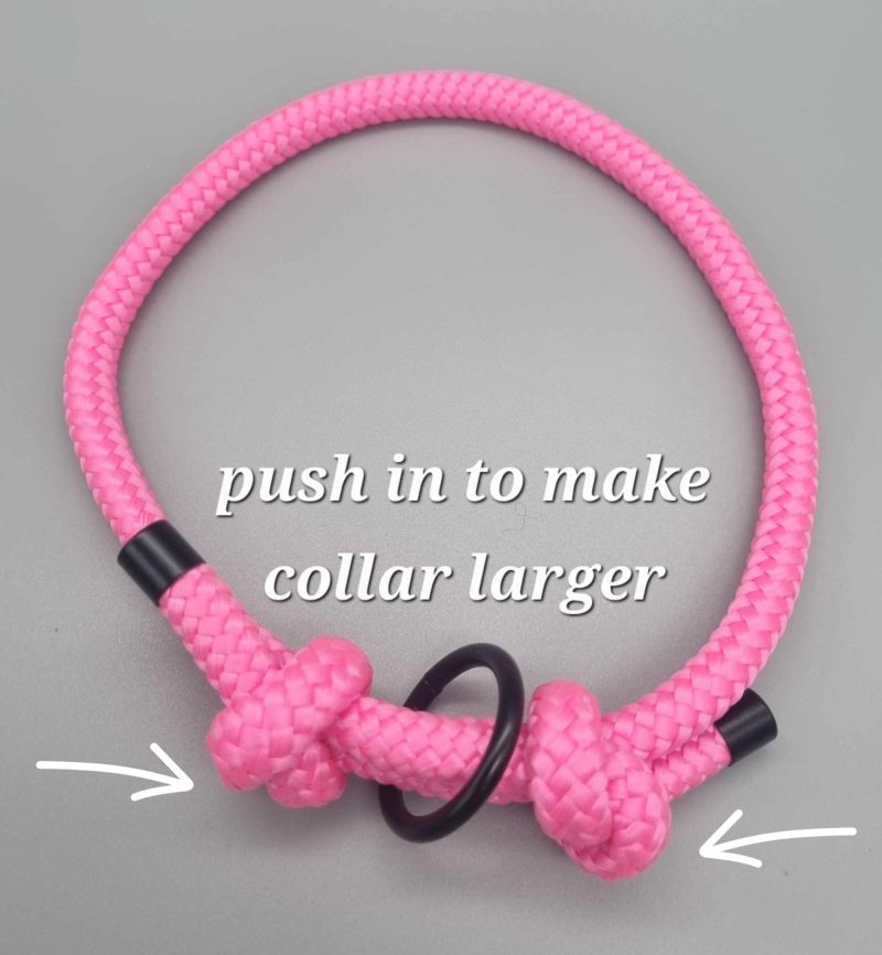 Sighthound/Dog ID tag collar/House collar adjustable