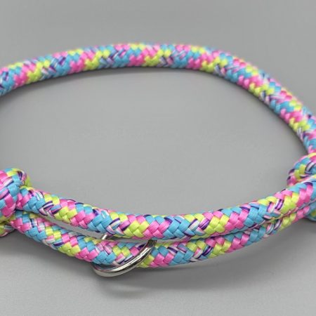 Sighthound/Dog ID tag collar/House collar adjustable