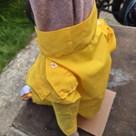 Freddie Mercury Tribute Puppet