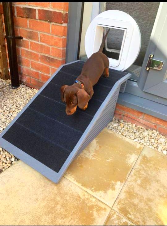16cm H x 40cm W x 40cm L base Unique Pet Ramp/Non-Slip for Outdoor Steps