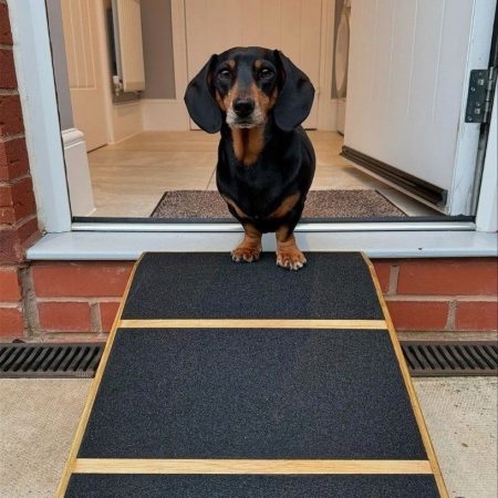 16cm H x 40cm W x 40cm L base Unique Pet Ramp/Non-Slip for Outdoor Steps