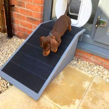16cm H x 40cm W x 40cm L base Unique Pet Ramp/Non-Slip for Outdoor Steps