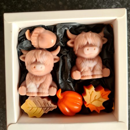 Wax melt gift set- Bonnie cow