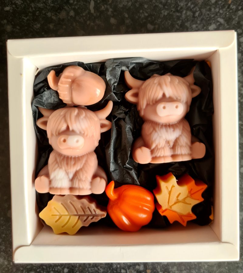 Wax melt gift set- Bonnie cow