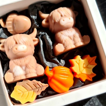 Wax melt gift set- Bonnie cow