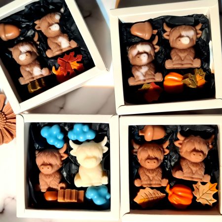 Wax melt gift set- Bonnie cow