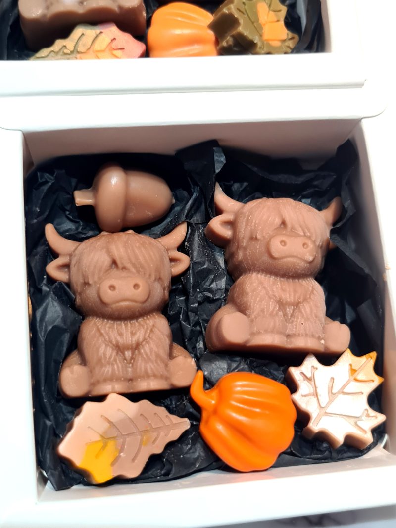 Wax melt gift set- Bonnie cow
