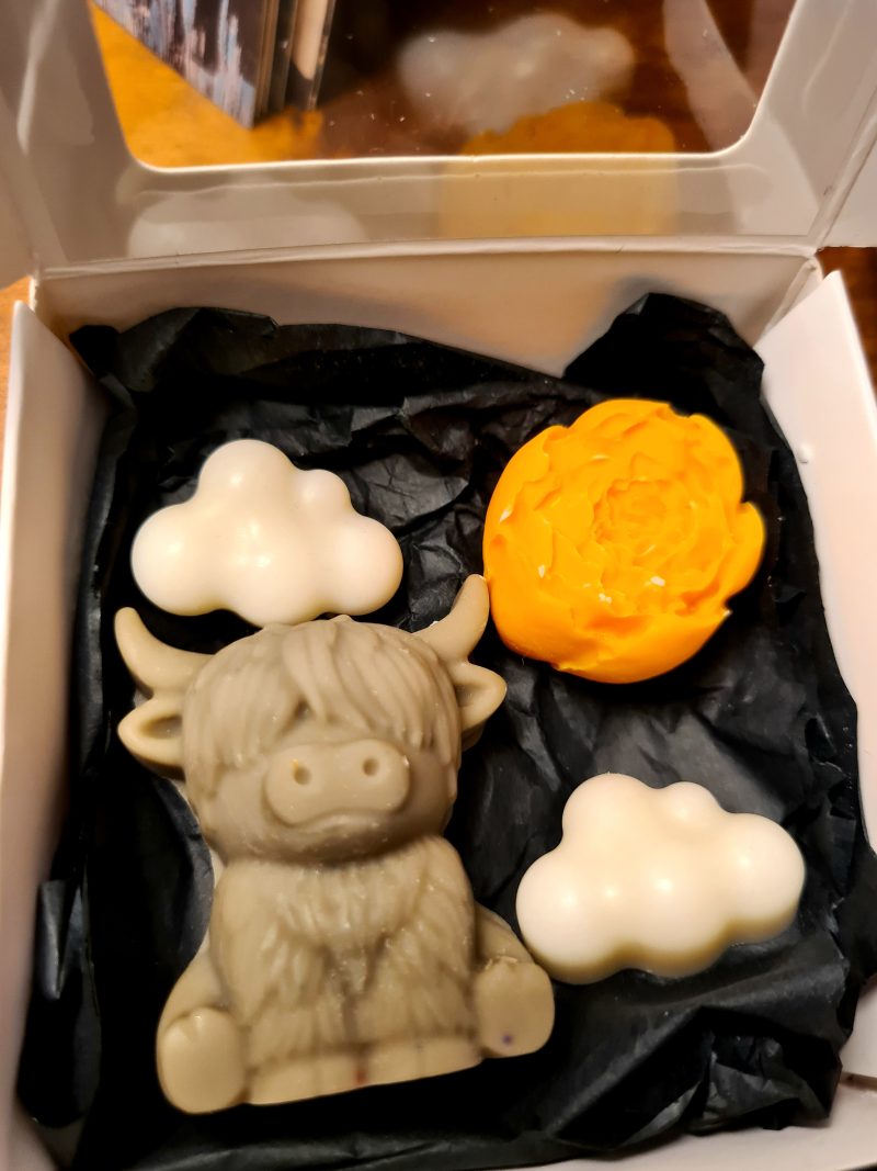 Wax melt gift set- Bonnie cow