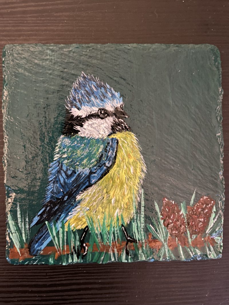 Hand-painted Blue Tit Slate Coaster
