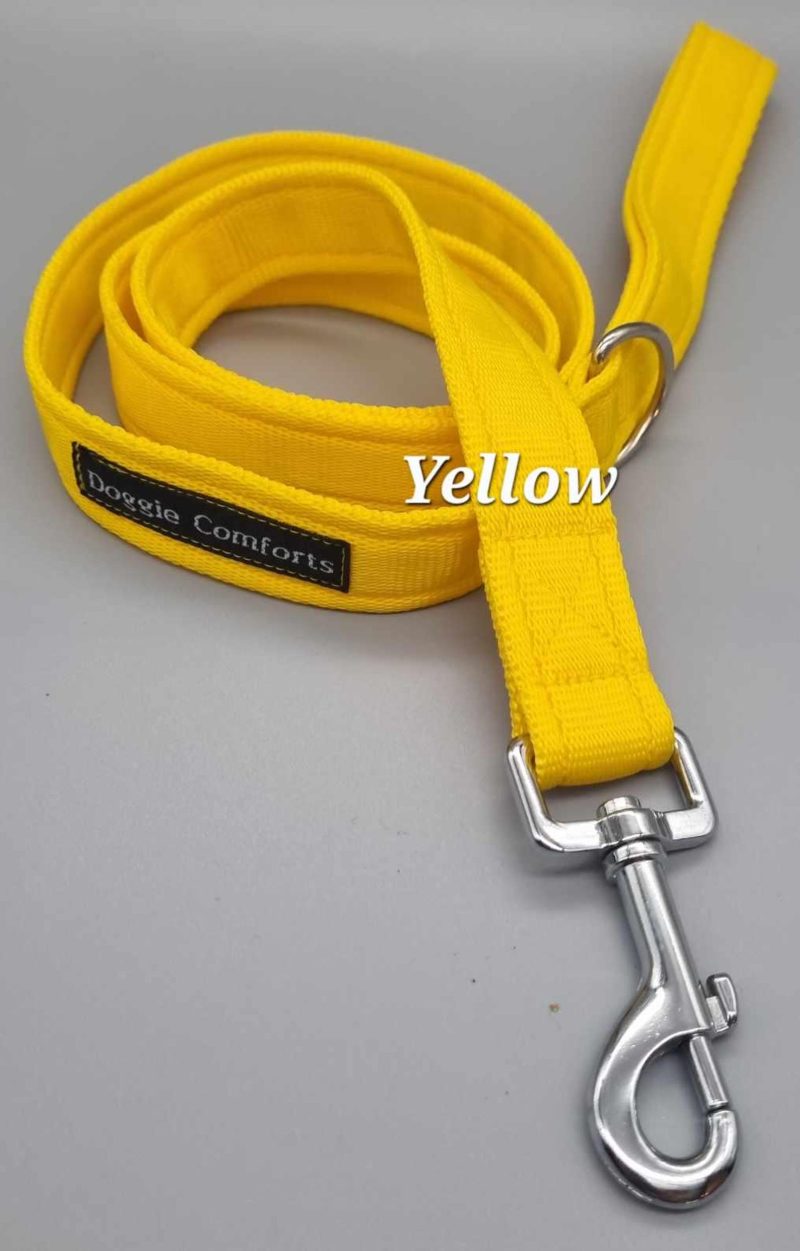 yellow dog lead
