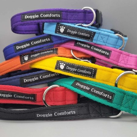 Rainbow of dog collars