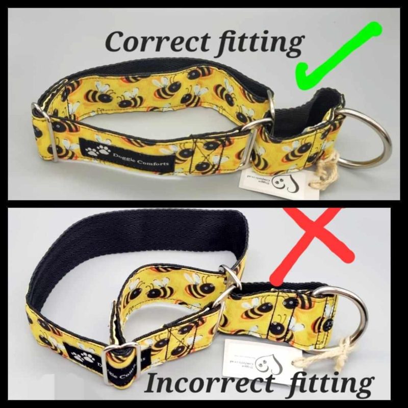 Plain 20mm & 25mm martingale dog collars