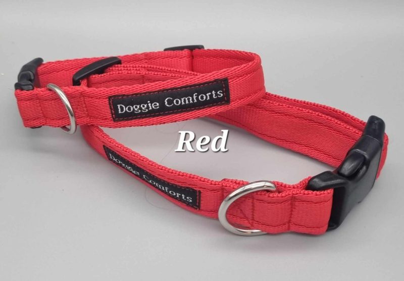 red dog collar