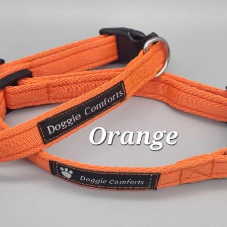 orange dog collar