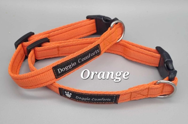 orange dog collar