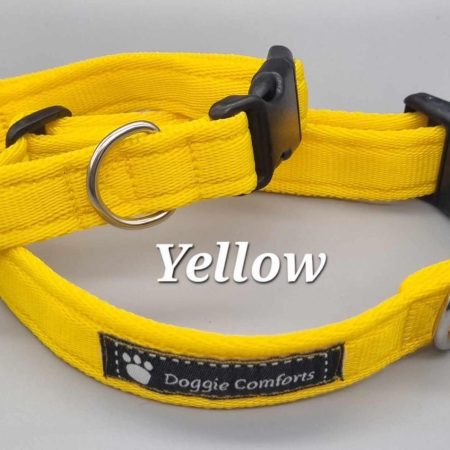 yellow dog collar