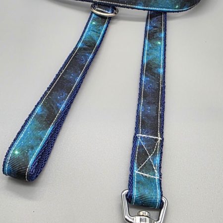 blue galaxy dog lead