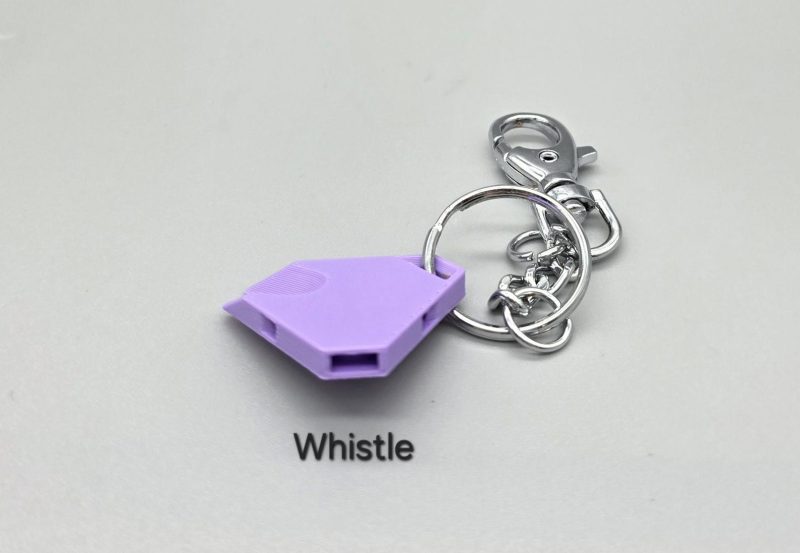 Tick remover tool/whistle with keychain