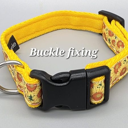 image shows buckle example