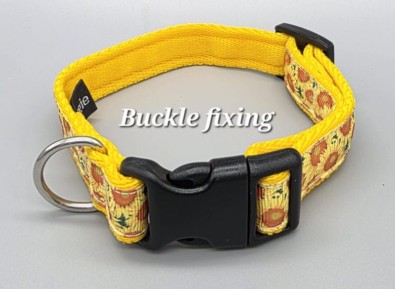 image shows buckle example