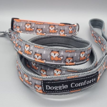 Foxy dog collar & lead