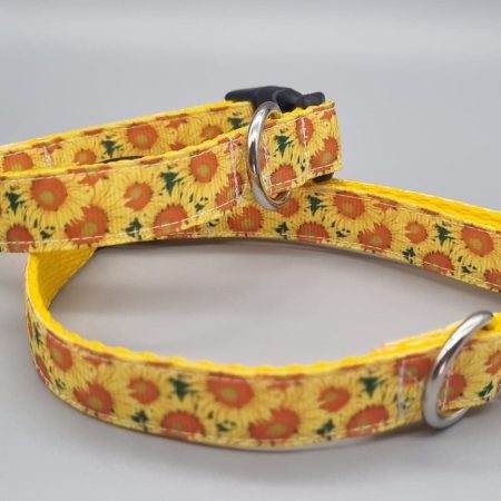 sunflower dog collars